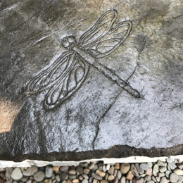 Dragonfly pattern in custom concrete space