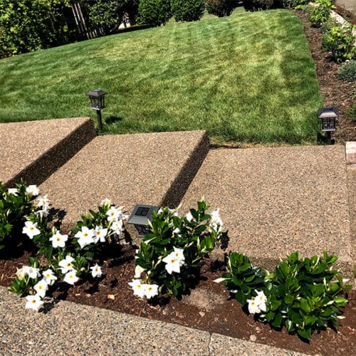 Exposed aggregate home steps