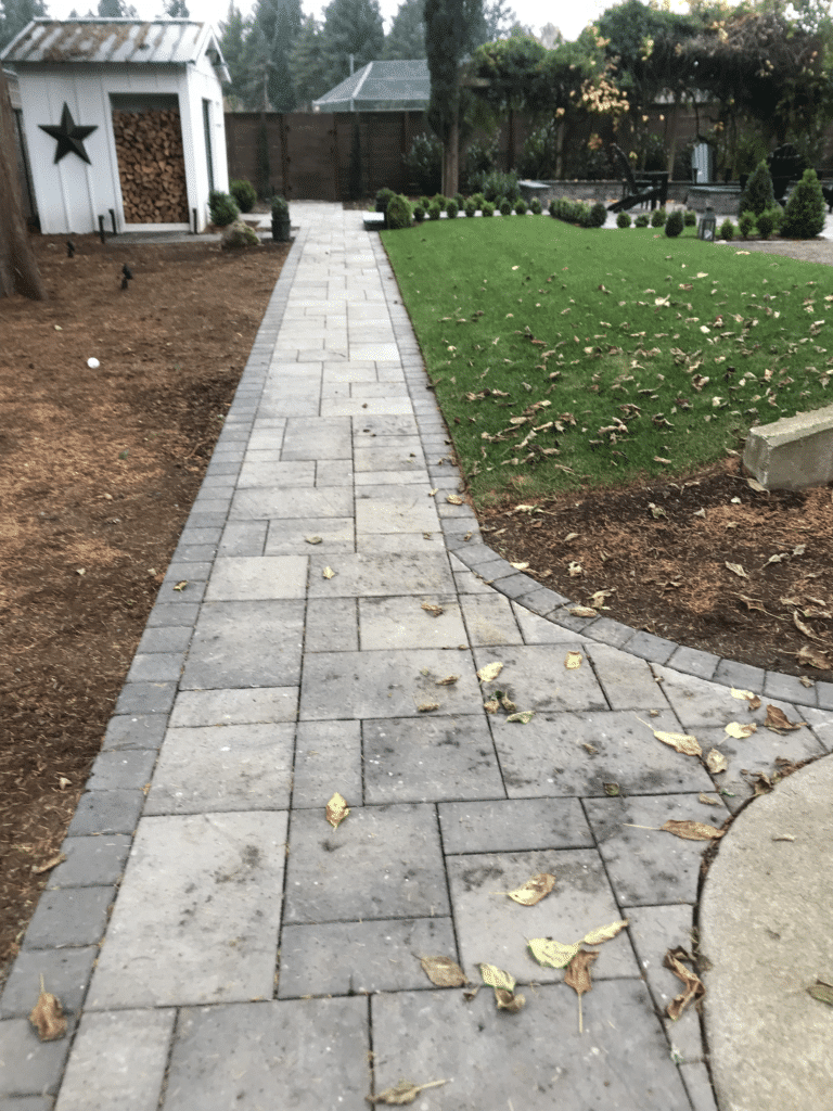 Backyard paver walkway