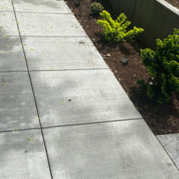 Broom finish concrete walkway